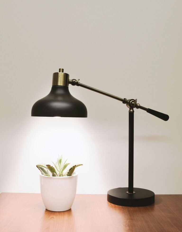 Adjustable desk lamp illuminating a small potted succulent on a wooden surface.