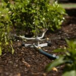 Automatic sprinkler watering small green plants in a garden bed