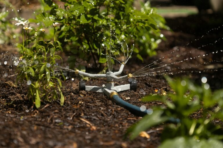 Automatic sprinkler watering small green plants in a garden bed