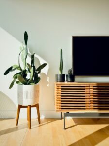 Wooden TV stand with potted houseplant.