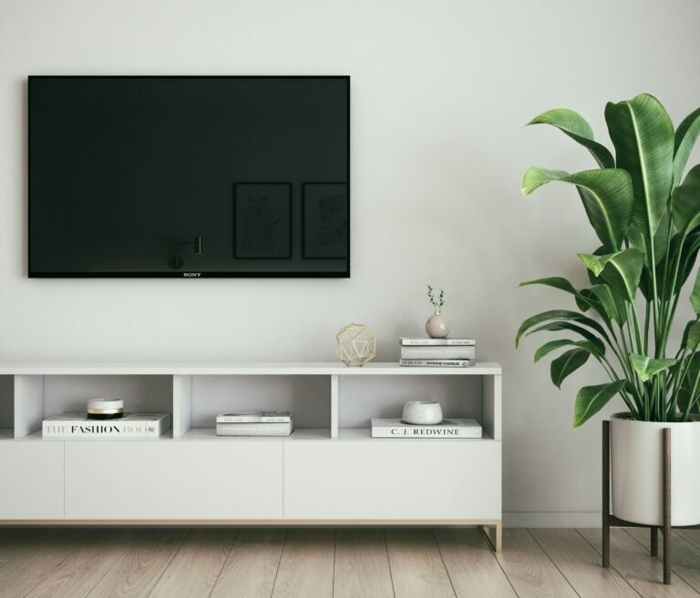 Modern entertainment unit with flat-screen TV and decorative plants