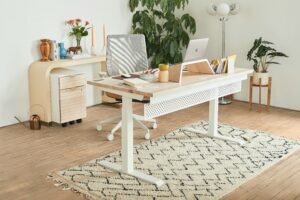 Streamlined workstation with adjustable-height desk in a light room.