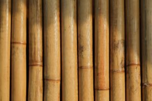 Vertical bamboo poles close together