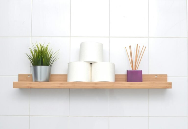 Minimalist bathroom shelf with toilet paper and small plant