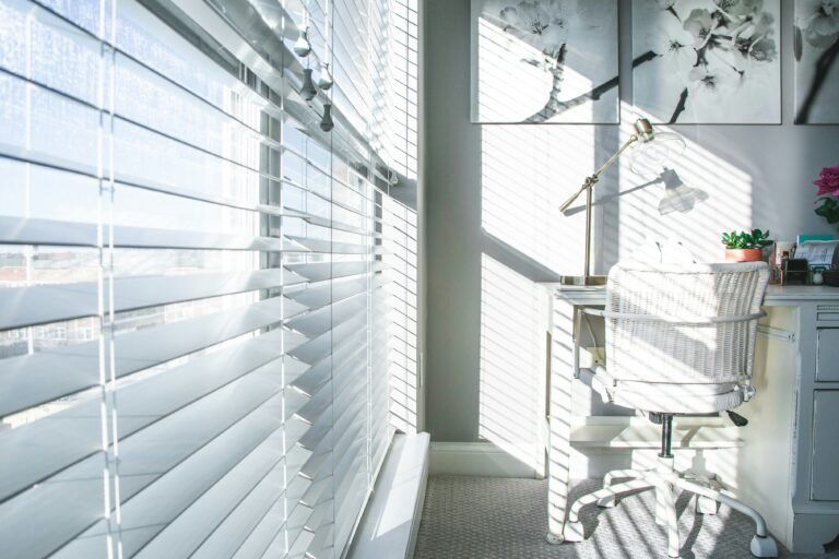 Horizontal window blinds with sunlight