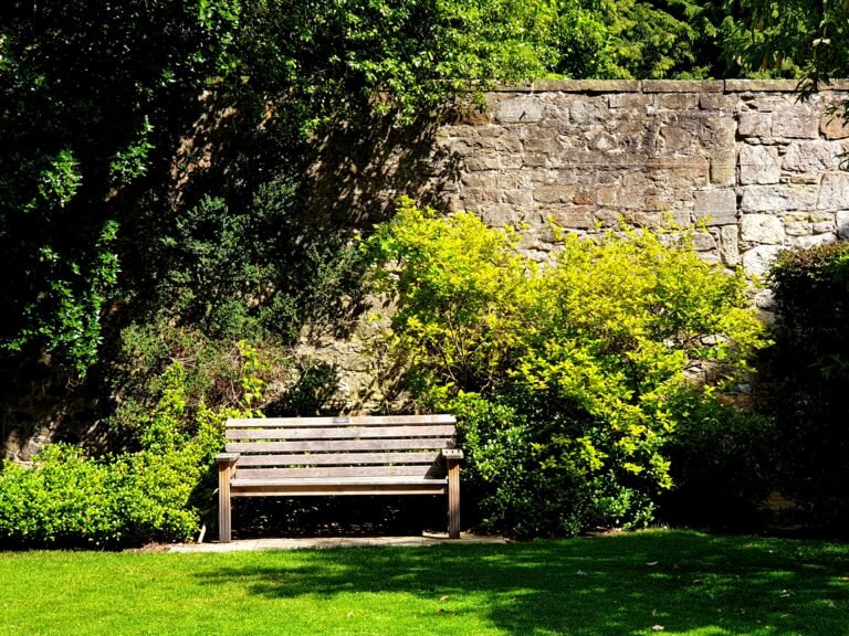 Wooden garden bench tucked among lush greenery.