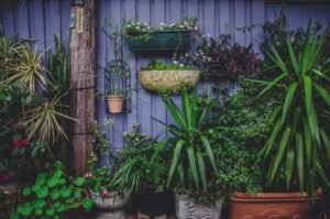 Vertical succulent planter and potted greenery