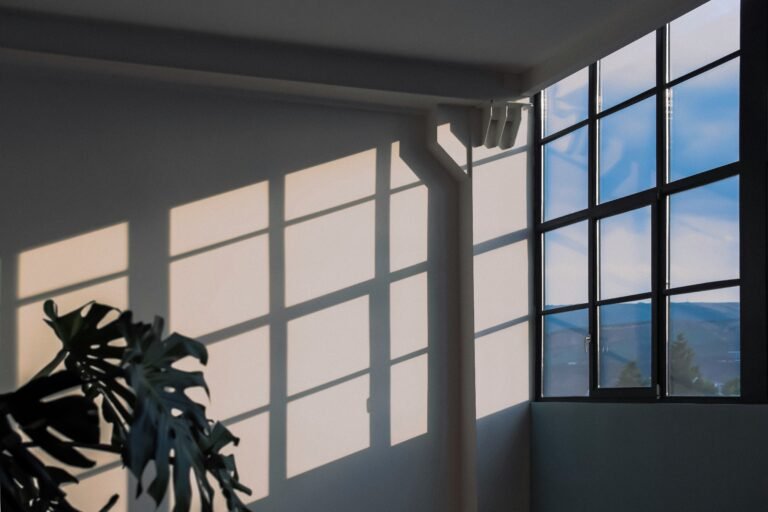 Window