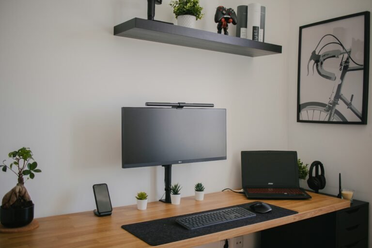 Clean wooden desk with a single monitor and potted plant
